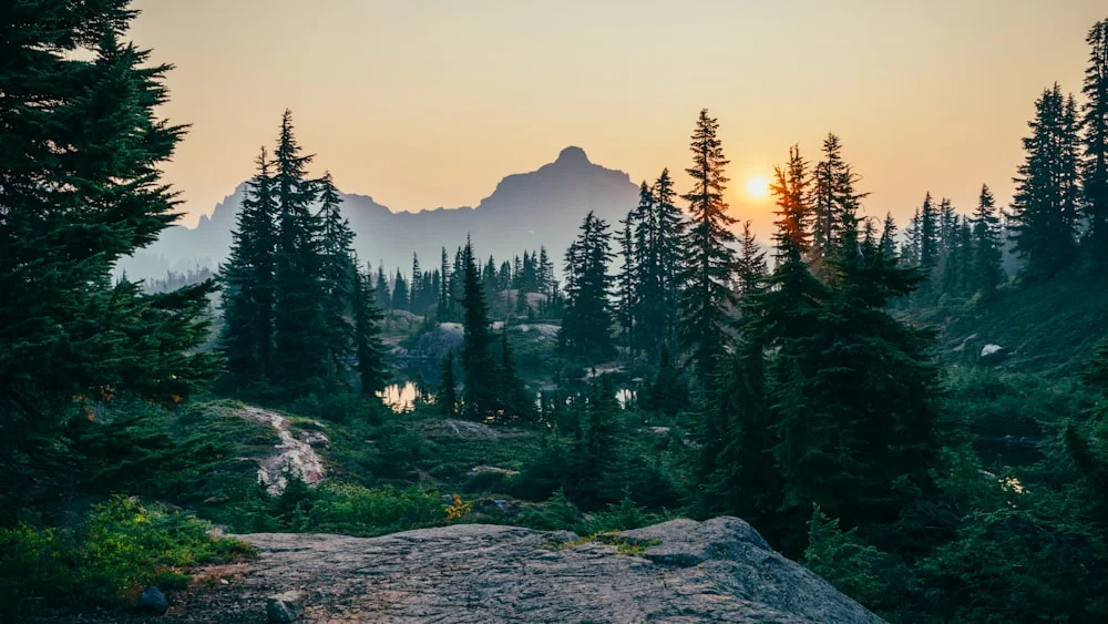 高速驾驶场景